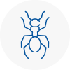 Ant Removals In Hyndburn