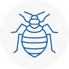 Bed Bug Extermination In Hyndburn