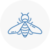 Bee Nest Removal Hyndburn