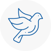 Bird Prevention Hyndburn