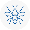 Hyndburn Hornet Nest Removals