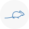 Mice Exterminators In Hyndburn