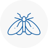 Moth Control Specialists In Hyndburn
