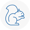 Hyndburn Rodent Removals
